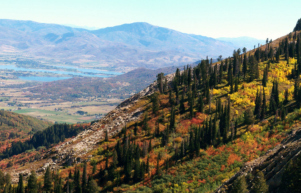 Wolf Canyon Trail