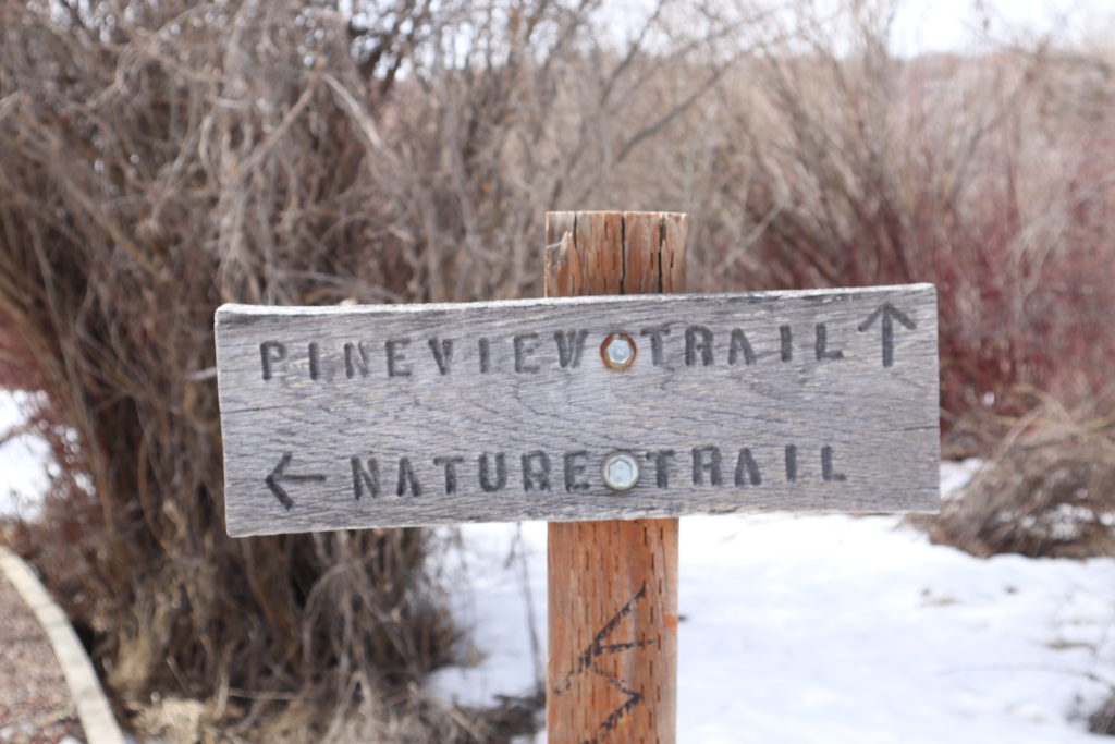 Pineview West Trail