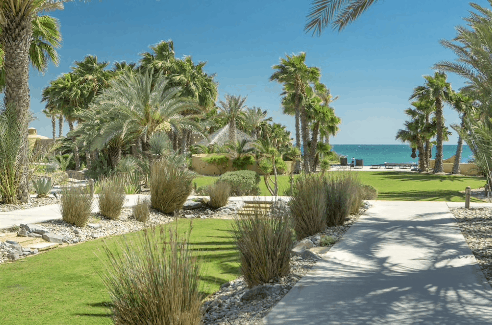 Bella Sirena Ocean View
