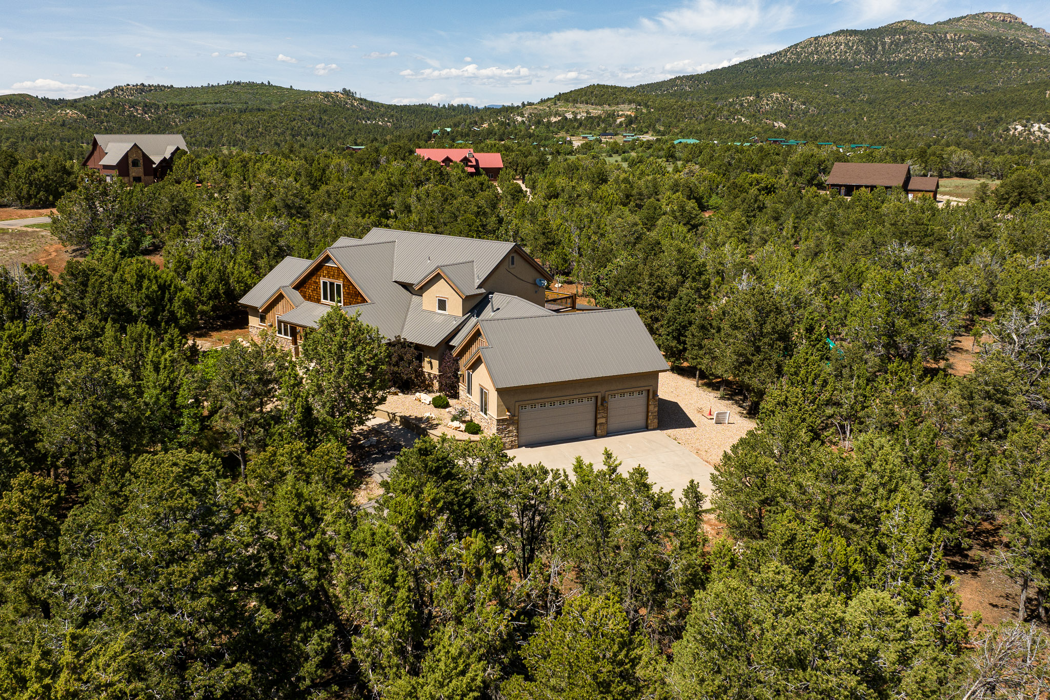 Aerial view of the house