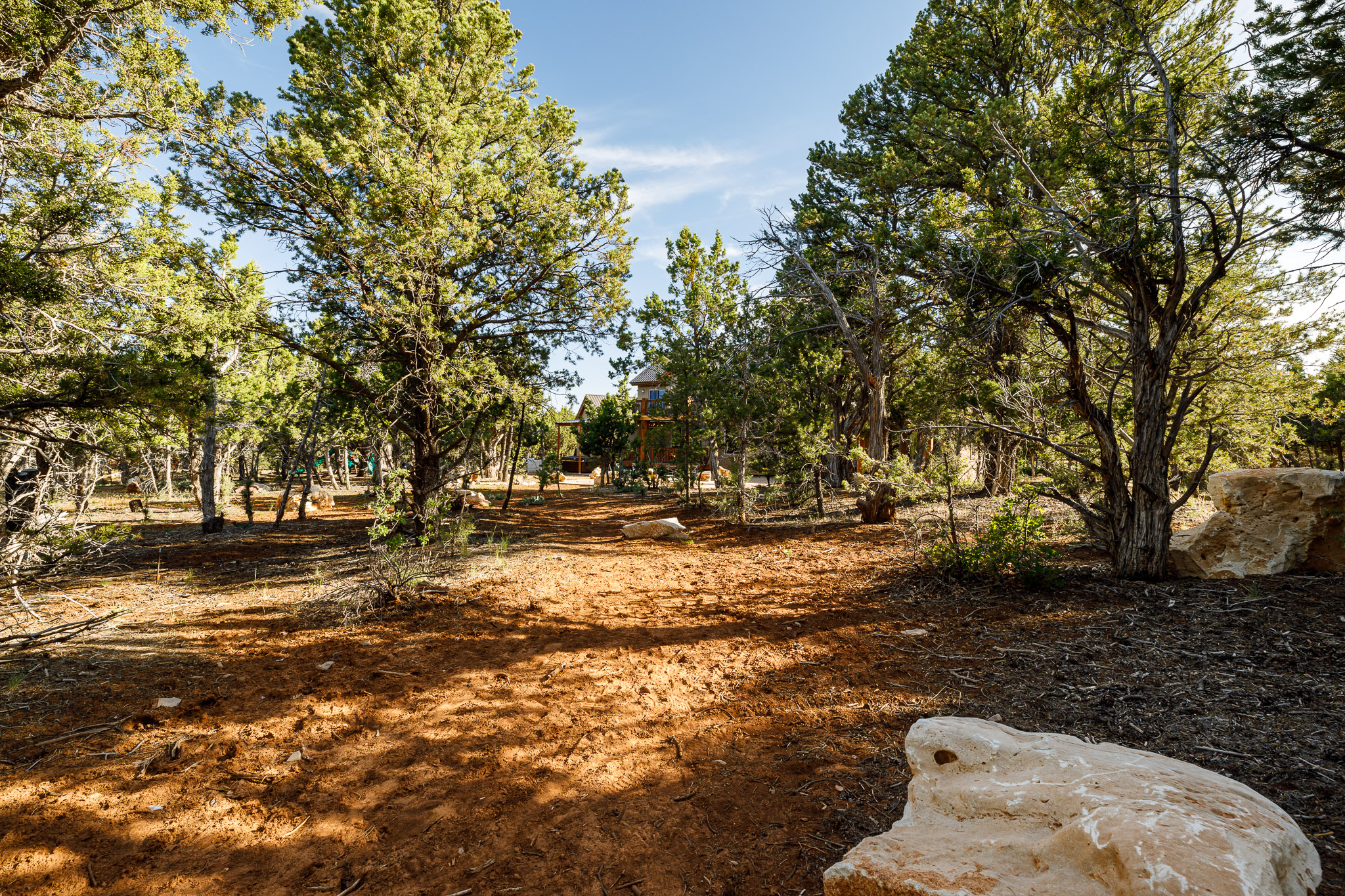 Privacy of the backyard